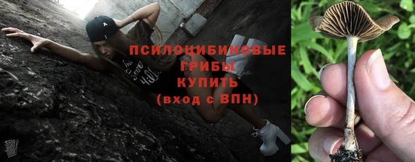 круглые Аркадак