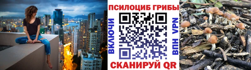 Галлюциногенные грибы Magic Shrooms  купить закладку  Верхняя Тура 